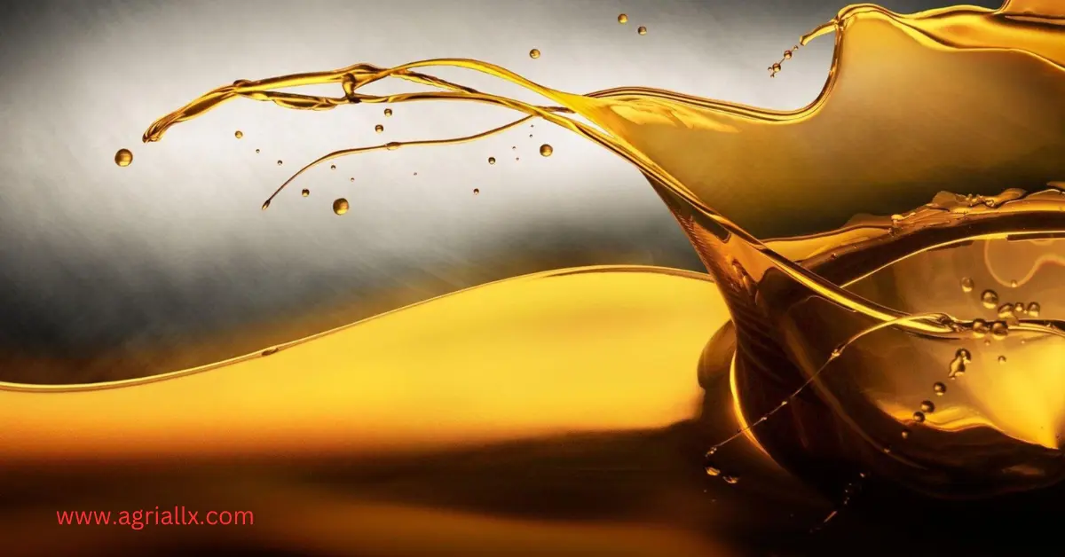 Understanding the Different Types of Edible Oil: A Comprehensive Guide