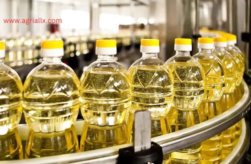 From Farm to Table: A Look at the Edible Oil Supply Chain