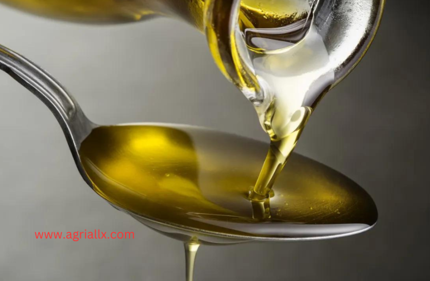 Exploring the differences between refined and unrefined edible oils