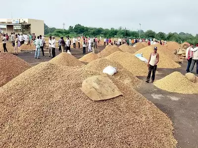 Rajkot market ground nut