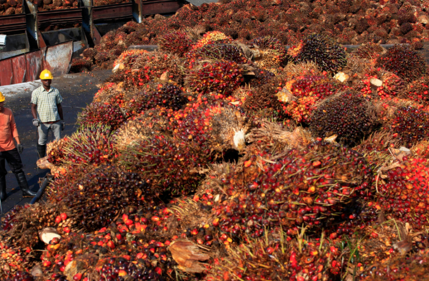 Malaysian Palm Oil Futures Surge Amid Supply Threats and Rival Oil Price Hikes