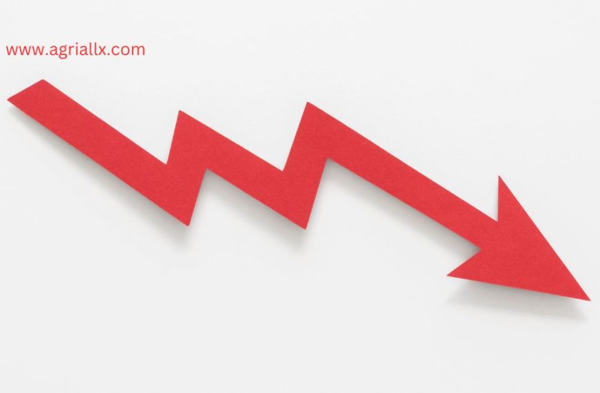 India’s Edible Oil Imports Decline as Record Inventories and Weather Patterns Impact Market